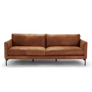 Leather Sofa
