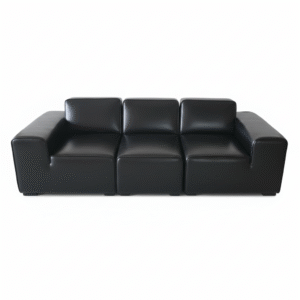 Indian Black Leather 3-Seater sofa
