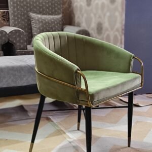 Cool velvet fabric Chair