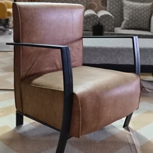 Indian Leather Lounge chair