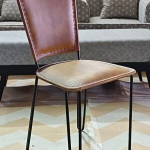 Indian Leather Iron Chair