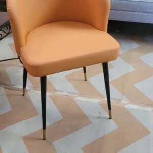 Indian Fabrics Dinning Chair