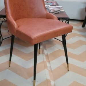 Indian Leather Dinning Chair