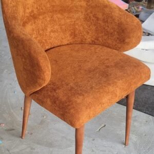 Indian Smoothest Fabric Dinning Chair